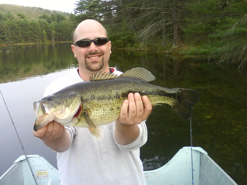Quabbin Large Mouth