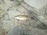 Trip with Danny Fishing Report