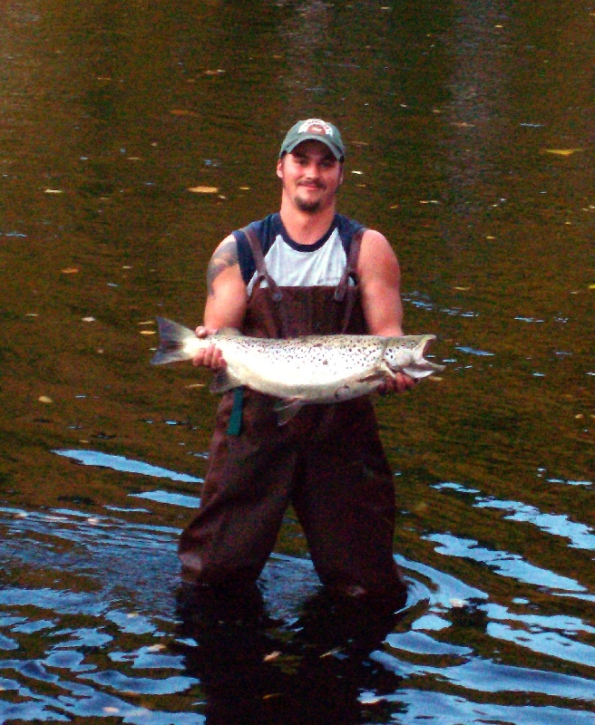 Salmon 4