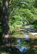 Little Blue River