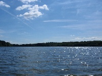 Click to View Full Size